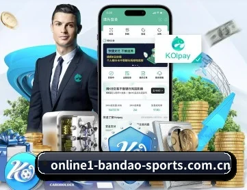 半岛体育入口 APP 深度功能