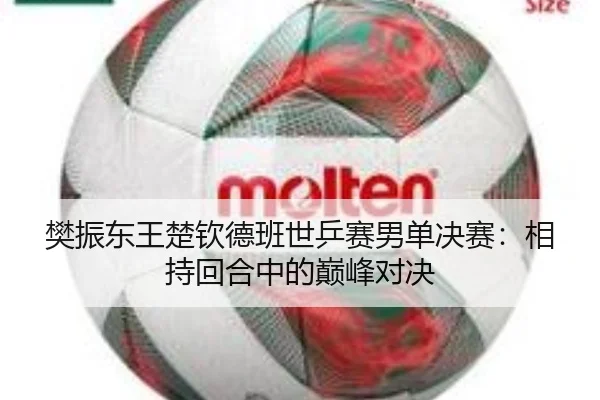 樊振东王楚钦德班世乒赛男单决赛：相持回合中的巅峰对决